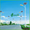 Chuyên nghiệp màu trắng 120W thương mại mặt trời chiếu sáng với PV năng lượng mặt trời Panels