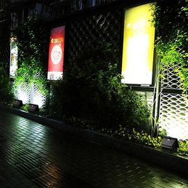 Năng lượng hiệu quả năng lượng mặt trời LED lũ Đèn ngoài trời CE RoHS Đối chiếu sáng cảnh quan